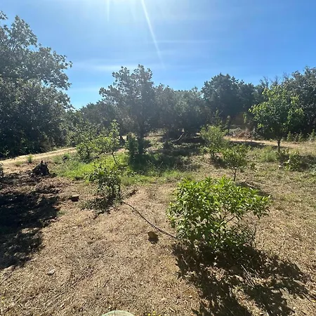 Villa De Luxe Surplombant La Mer, Piscine Suspendue Pianottoli-Caldarello (Corsica)