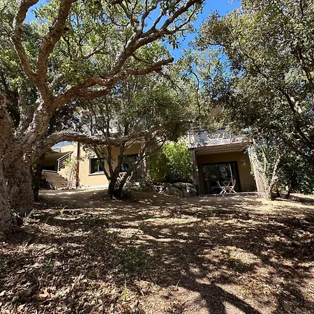 De Luxe Surplombant La Mer, Piscine Suspendue *