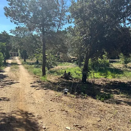 De Luxe Surplombant La Mer, Piscine Suspendue Pianottoli-Caldarello (Corsica)