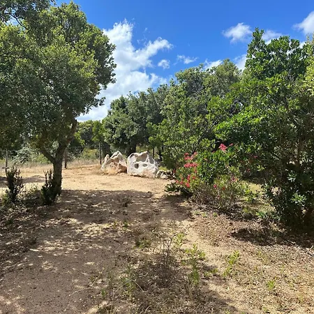 Villa De Luxe Surplombant La Mer, Piscine Suspendue Pianottoli-Caldarello (Corsica)