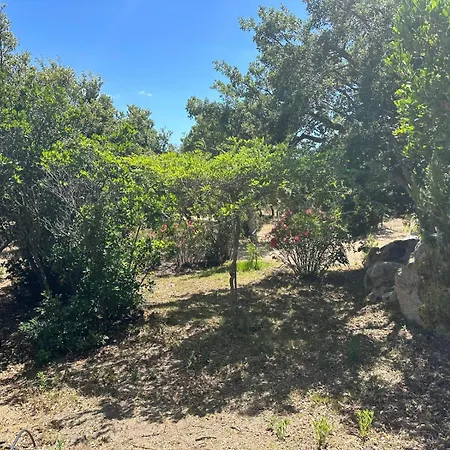 Villa De Luxe Surplombant La Mer, Piscine Suspendue *