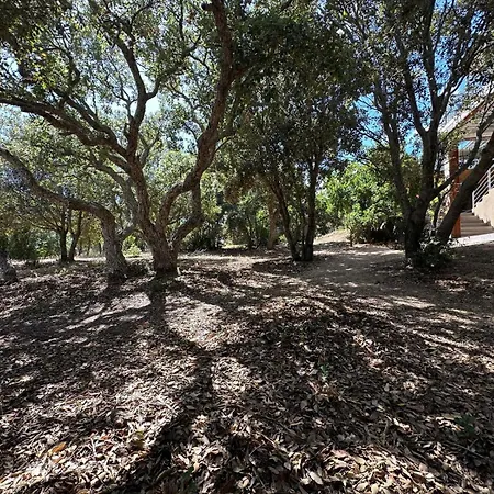 De Luxe Surplombant La Mer, Piscine Suspendue Villa Pianottoli-Caldarello (Corsica)